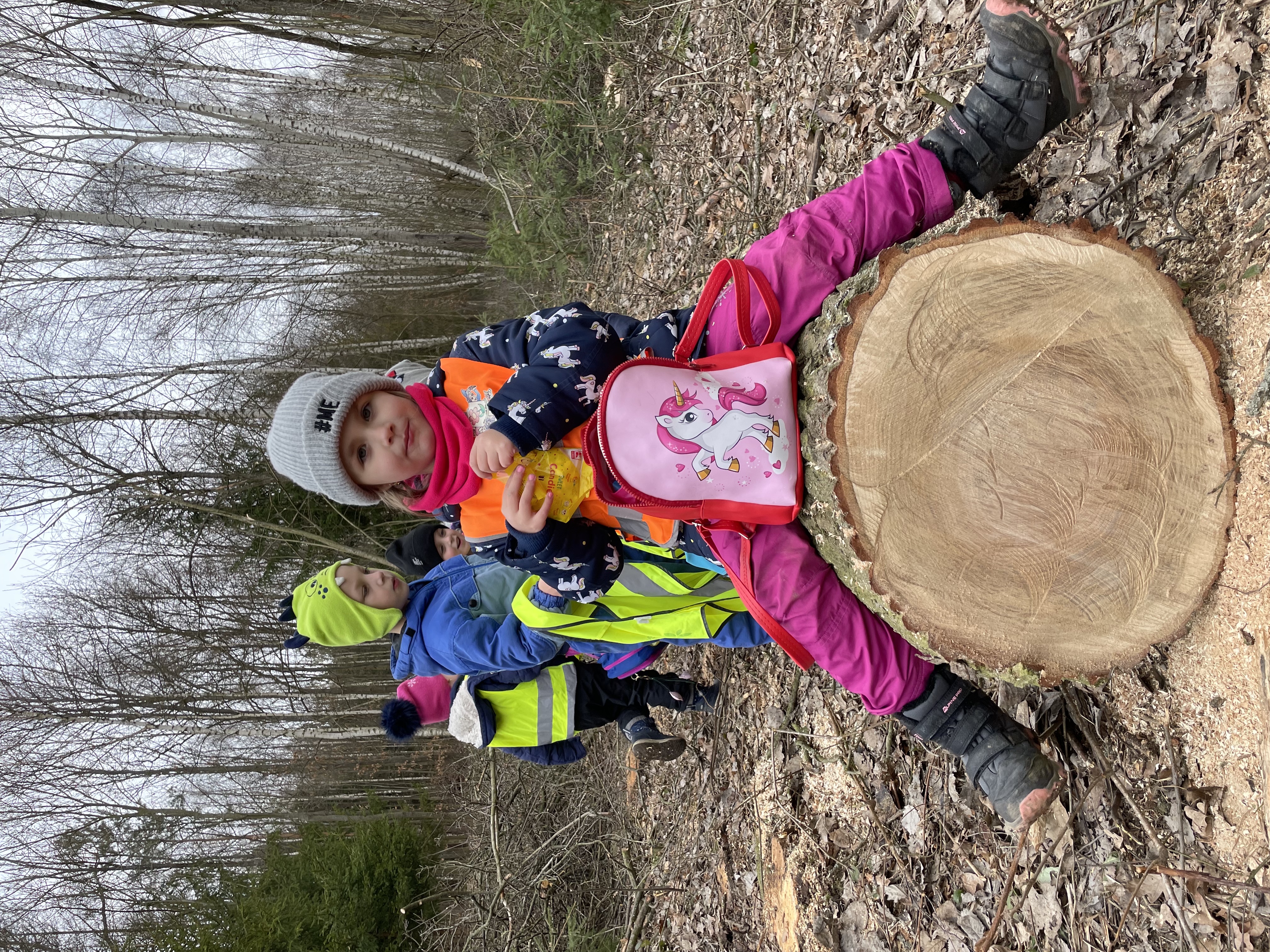 Březnový rok stromů